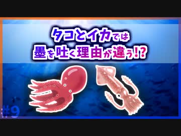 人気の イカ墨 動画 24本 ニコニコ動画