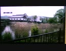 釣り