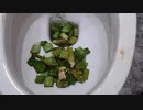 アロエをトイレに流してみた