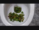 スキットルズとアロエをトイレに流してみた