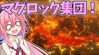 【ゼルダ無双厄災の黙示録】ベリーハードで往く勇者ヒメちゃん！#9【ガイノイドTalk実況】【鳴花ヒメ・ミコト】