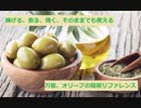 【スパイスを知ろう！】オリーブを知ろう！【part14】
