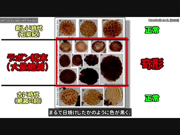 【論文紹介】奇形植物化石が物語るデボン紀末大量絶滅の原因【VOICEROID解説】