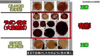 【論文紹介】奇形植物化石が物語るデボン紀末大量絶滅の原因【VOICEROID解説】