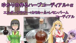 【飲み物祭2020】ゆかりんの作るハーブコーディアル 【おまけもあるよ】