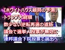 【ホワイトハウス顧問の予測】大統領は連邦議会下院投票で選ばれる・選挙人の代替候補者？ゴタゴタのままだと州強制選出の選挙人結果が連邦議会で否決されてしまう