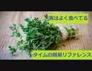 【スパイスを知ろう！】タイムを知ろう！【part15】