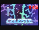 なぜ山に登るのか #45【Celeste】