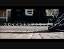 【人l力】スlロlゥlイlンlトlゥlザlフlラlッlトlラlイlン【s.h.a.o】
