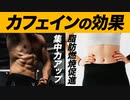 筋トレ・ダイエットの味方「カフェイン」の3つの効果・おすすめ摂取量・摂取タイミングを解説【ビーレジェンド プロテイン】