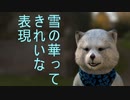 12月17日　お誕生日おめでとう　ニコニコ動画は　12月31日で　配信一時止めます。