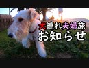 犬連れ夫婦旅からのお知らせ