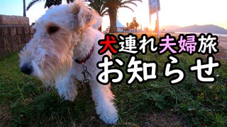 犬連れ夫婦旅からのお知らせ