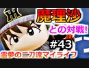 【ゆっくり実況】#43 霊夢の二刀流マイライフ【パワプロ2020】【マイライフ】[PS4][eBASEBALLパワフルプロ野球2020][野球] ゲーム実況 プレステ4