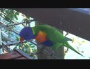 【オリジナル】Gentle Talk【作業用BGM】