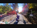 愛知県民の森の紅葉