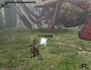 【MHF】 HR30公式狩猟試験 5/5 【シェンガオレン】