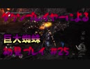 【仁王】ダクソプレイヤーによる戦国妖怪退治アクション #25