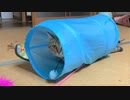 退屈なタタルさん　＃206