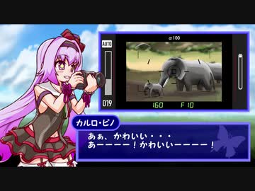 【手描きアイドル部】とりさん、襲来【AFRIKA】