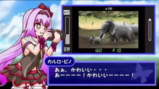 【手描きアイドル部】とりさん、襲来【AFRIKA】