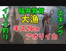 【釣り動画】アオリイカ、超巨大キス釣りあげました！福井県敦賀！エギング、ヤエン釣り遠征！