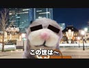 この世はすばらしい