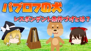 【ゆっくり解説】刺激と反応の条件づけ、パブロフの犬【心理学】