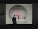 【ベース弾いてみた】粋恋【水樹奈々】