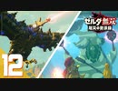 【ゼルダ無双 厄災の黙示録】BotWの100年前の戦いへ！*実況＃12