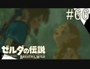 【ゼルダの伝説ブレスオブザワイルド＃66】彼女は絶望するお姫様【はるの積みゲー崩し】