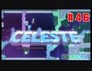 なぜ山に登るのか #46【Celeste】