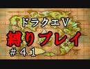 【ドラクエ5 縛りプレイ】新しい縛りとペナルティ執行！そしてマーサの故郷へ…。Part41【アルカリ性】