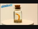 チンアナゴ作ってみた