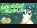 【ゆっくり実況】きれいな花が咲きました ～その１～【花咲か妖精フリージア】