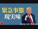 国会での公聴会、大きな進展がないが、共和党内部のグループ分けが徐々に完成し始めています、トランプ大統領がリツイートしたリンウード弁護士のツイター
