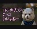 12月18日　お誕生日おめでとう　ニコニコ動画は　12月31日で　配信一時止めます。
