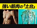 【身体と筋肉の土台】「骨」を強くする栄養素と重要性について【ビーレジェンド プロテイン】