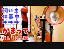 飛びつき抱っこが止まらない！猫が甘えん坊すぎて仕事ができません…