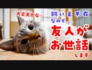 飼い主の旅行中、猫初心者の友人が猫のお世話をしてみた結果…