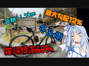 【自転車】冬雨のヤビツ峠上ってみた【車載動画】