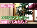 猫の前でクリスマスツリーを準備したら？
