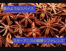 【スパイスを知ろう！】スターアニスを知ろう！【part18】