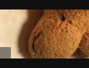 歌ってみた動画