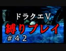 【ドラクエ5 縛りプレイ】エルヘブンへ向けて洞窟抜けてきましょう！Part42【アルカリ性】