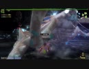 MHFPCに残ってた動画