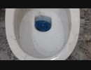 スライムをトイレに流してみた１９