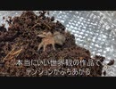 [めくるめくSFの]タランチュラ飼育日記その３６[中でひっそり]