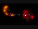 Determination / PHIZ