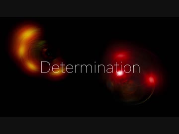 Determination / PHIZ